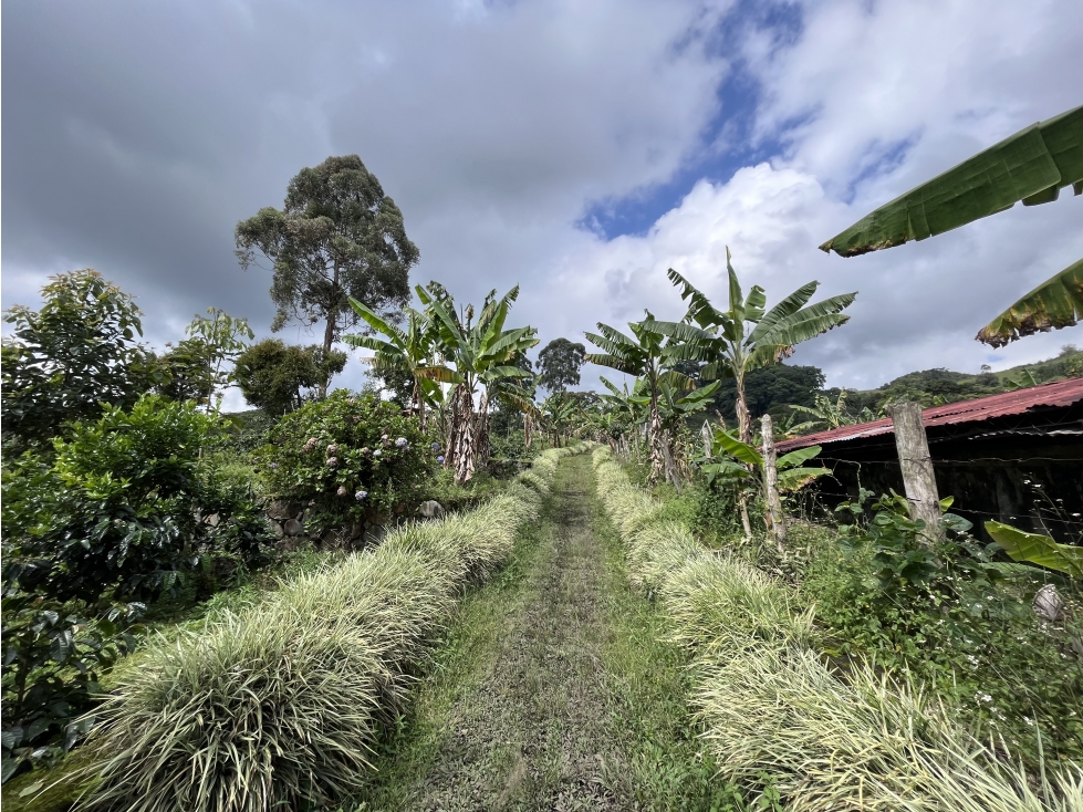 VENTA DE FINCA, SALENTO, QUINDIO, COLOMBIA.