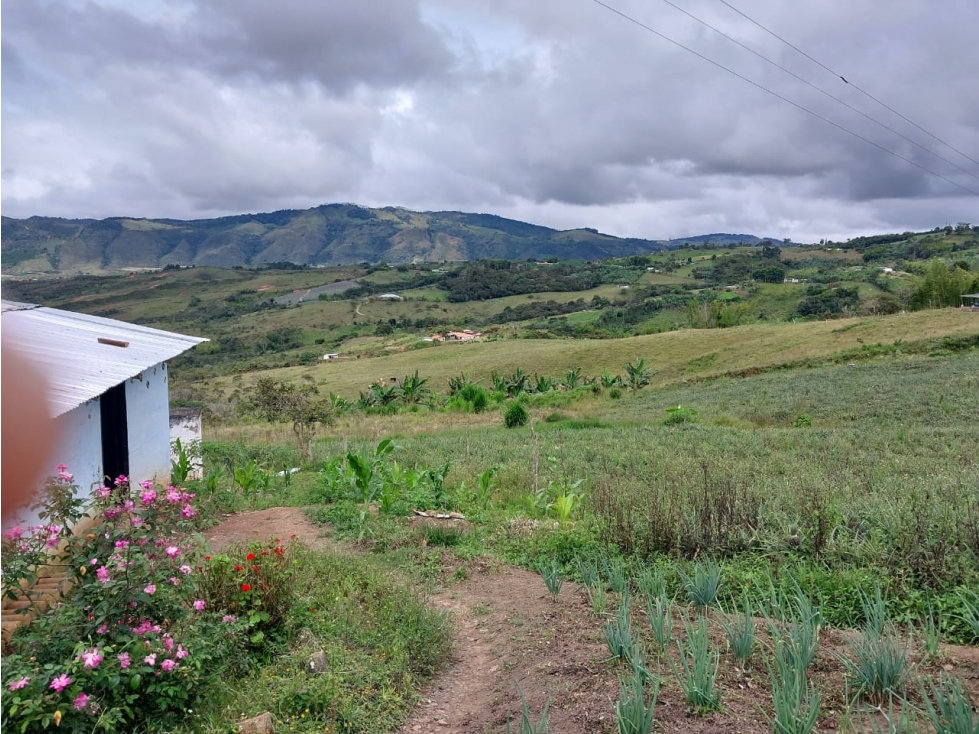 VENTA DE FINCA RESTREPO VALLE