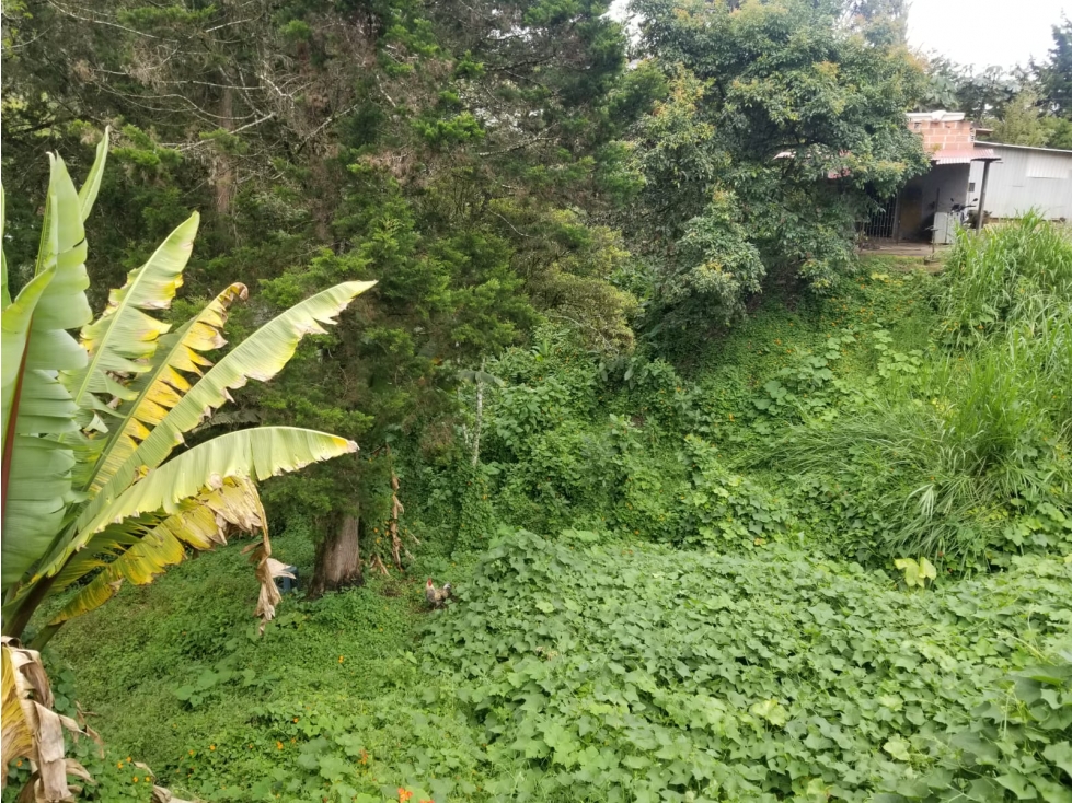 Venta 4 Lotes Guarne con frente sobre Autopista Medellín - Bogotá