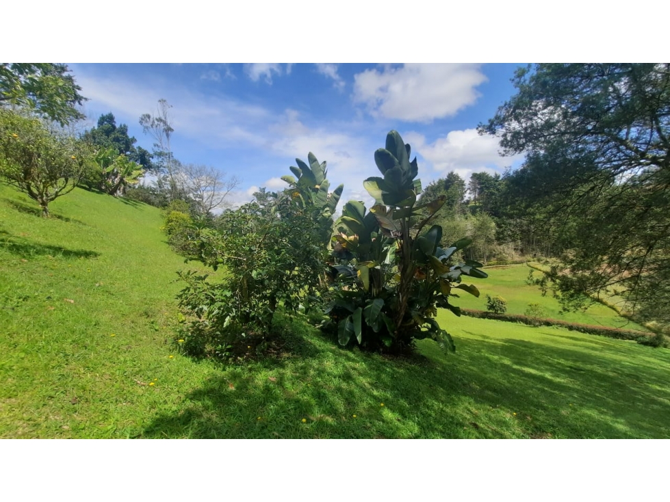 VENTA LOTE SAN ANTONIO DE PEREIRA - RIONEGRO, VEREDA OJO DE AGUA.