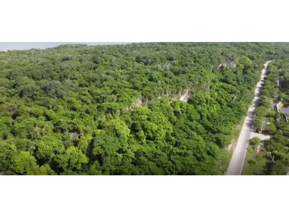 Lote en venta Península de Barú