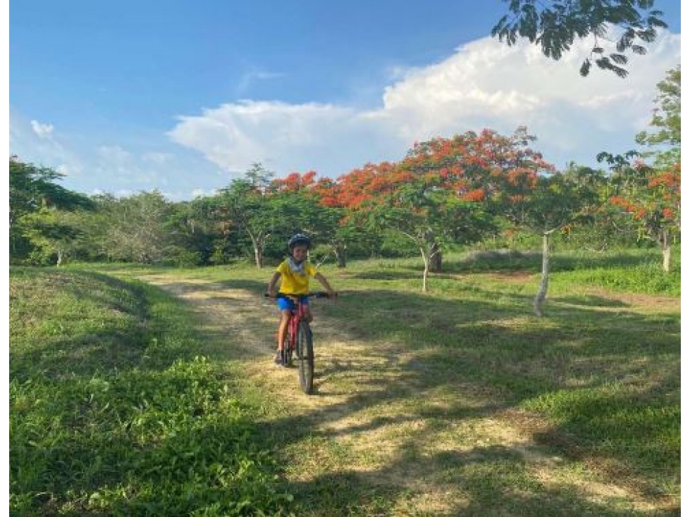 Lote en venta Isla de Barú - Cartagena de Indias