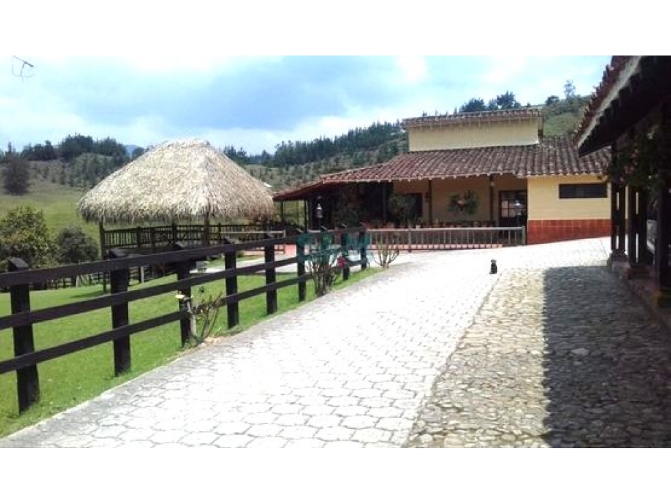 Venta Finca en La Ceja , vereda El Tambo ,independiente 13 hectáreas