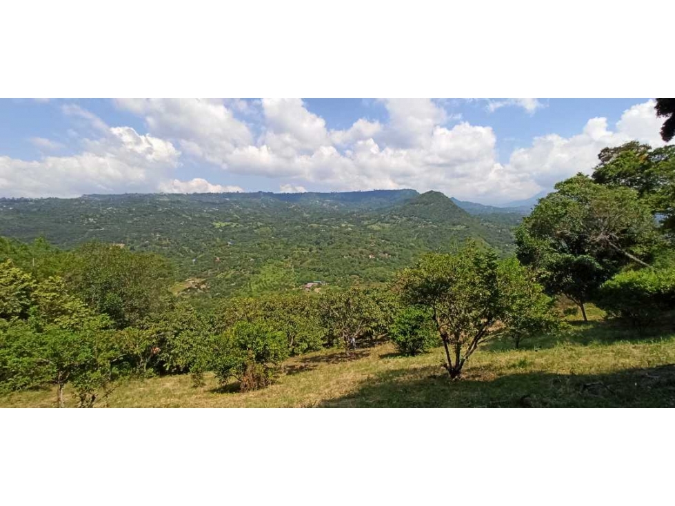 Finca Con Hermosa Vista - Para Proyecto Turístico