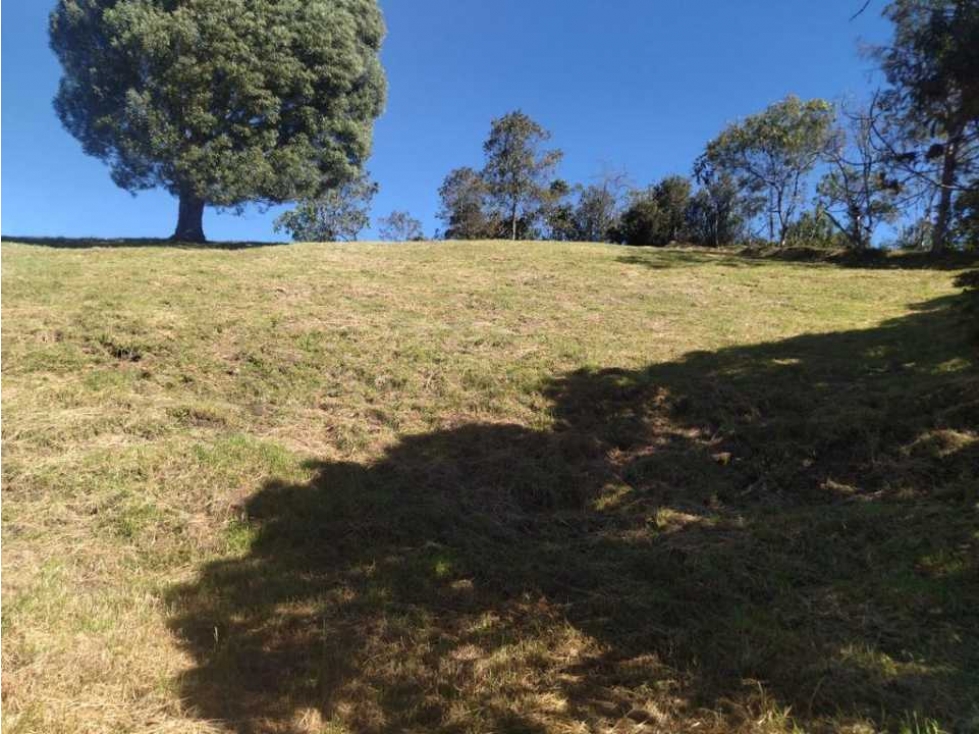 HERMOSO LOTE PARA LA VENTA  EN MEDELLIN ALTO DE LAS PALMAS