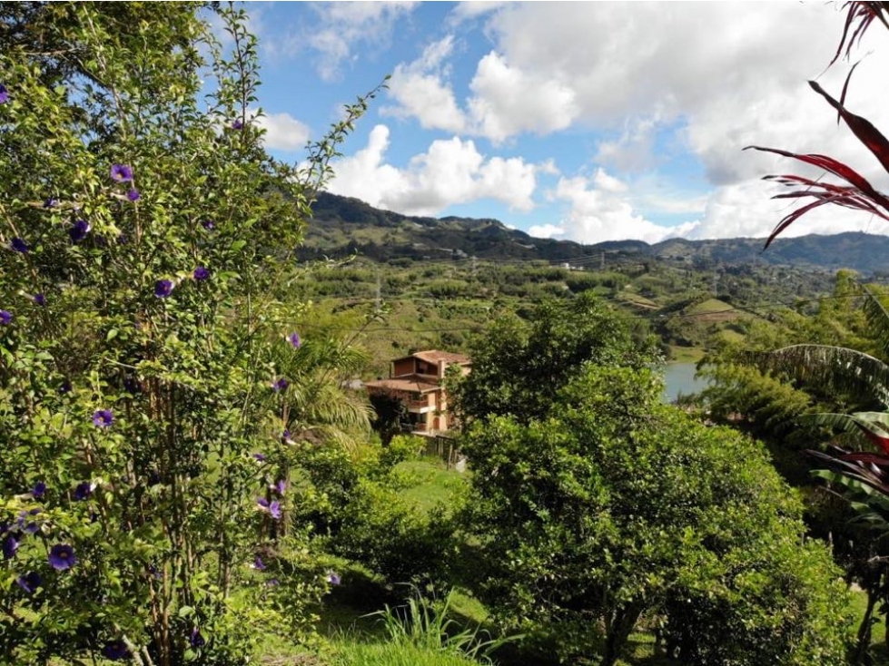 LINDA FINCA EN VENTA EL PEÑOL