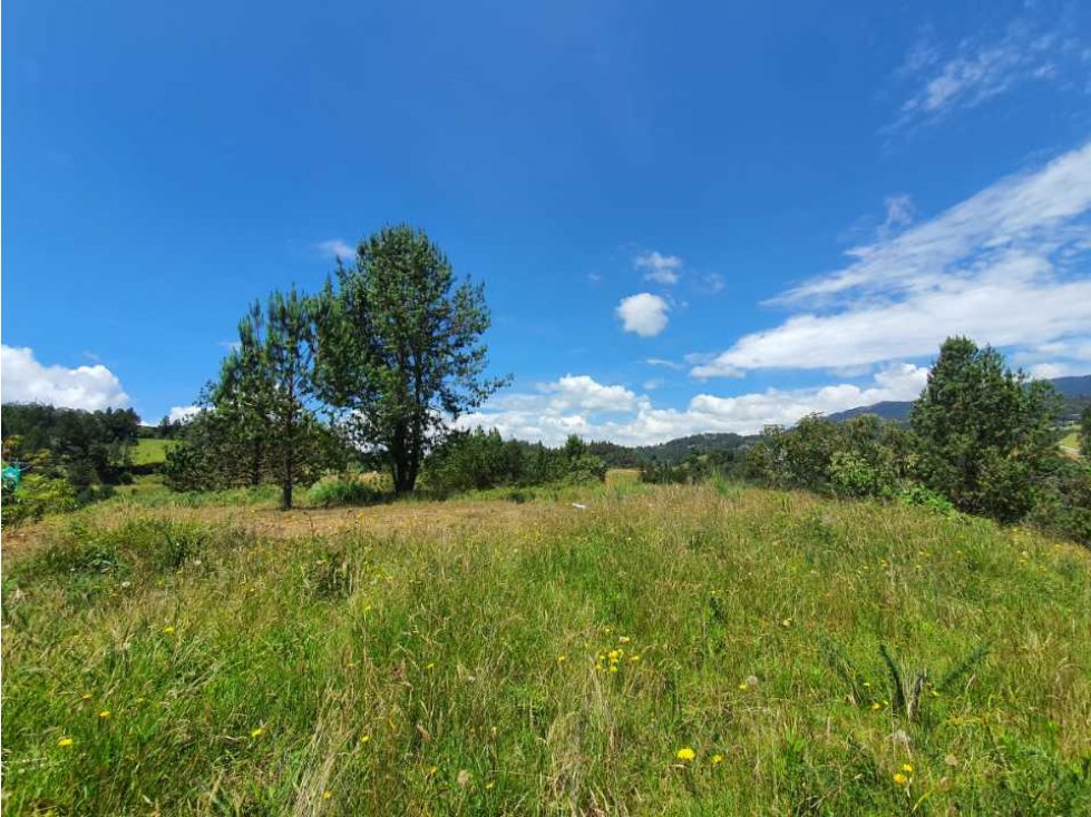 Lote en Alto del escobero