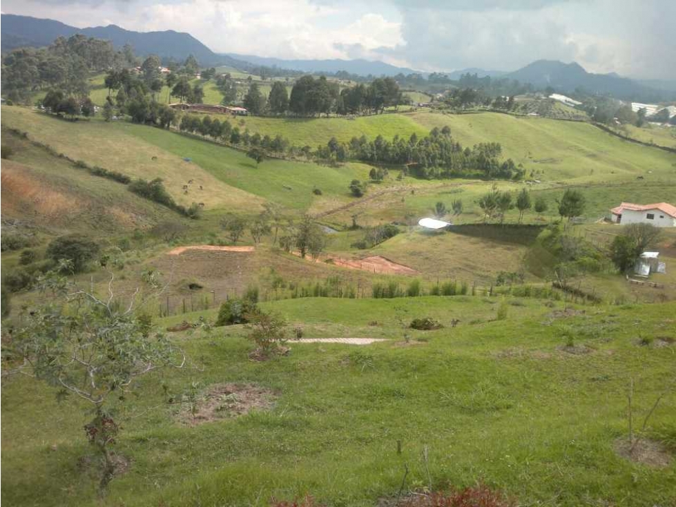 lote en el Carmen de viboral