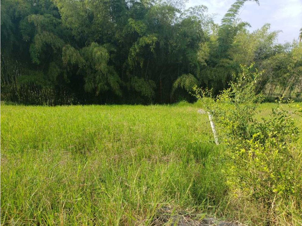 Lote en venta en Cerritos, Pereira