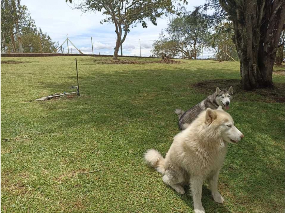 Lote Ojo de Agua - Rionegro
