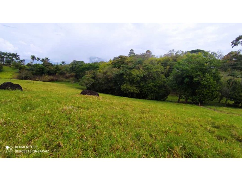 VENTA LOTE TARSO, SUROESTE ANTIOQUEÑO