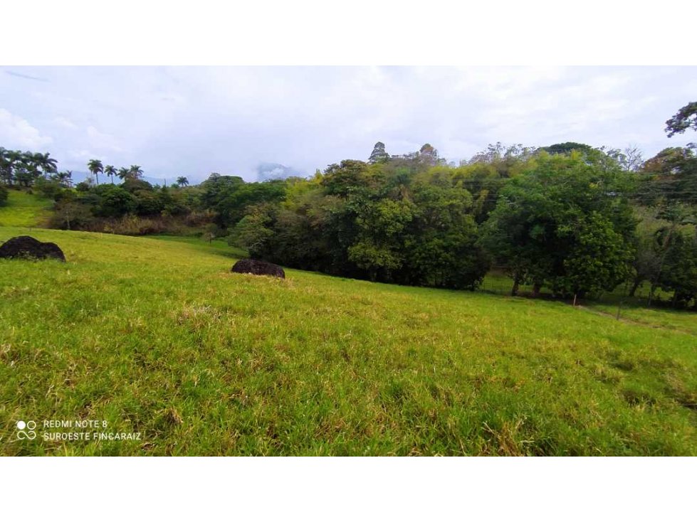 VENTA LOTE TARSO, SUROESTE ANTIOQUEÑO