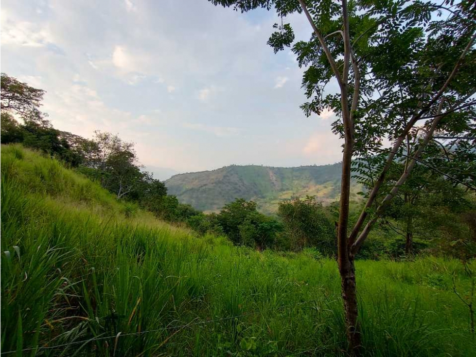 Oportunidad Vendo Finca para Condominio entre La Mesa-Anapoima