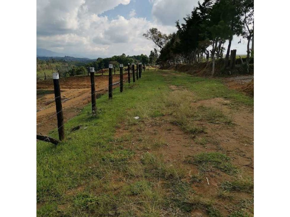 Alto Palace- el verde también se siente-Lote campestre