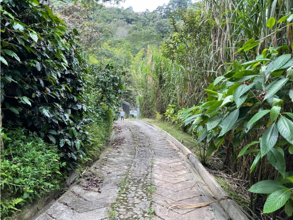 SE VENDE HERMOSA FINCA CON RÍO PROPIO EN SALENTO, QUINDIO