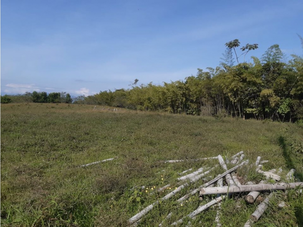 Se vende Lote, campestre, Pereira, Cerritos.