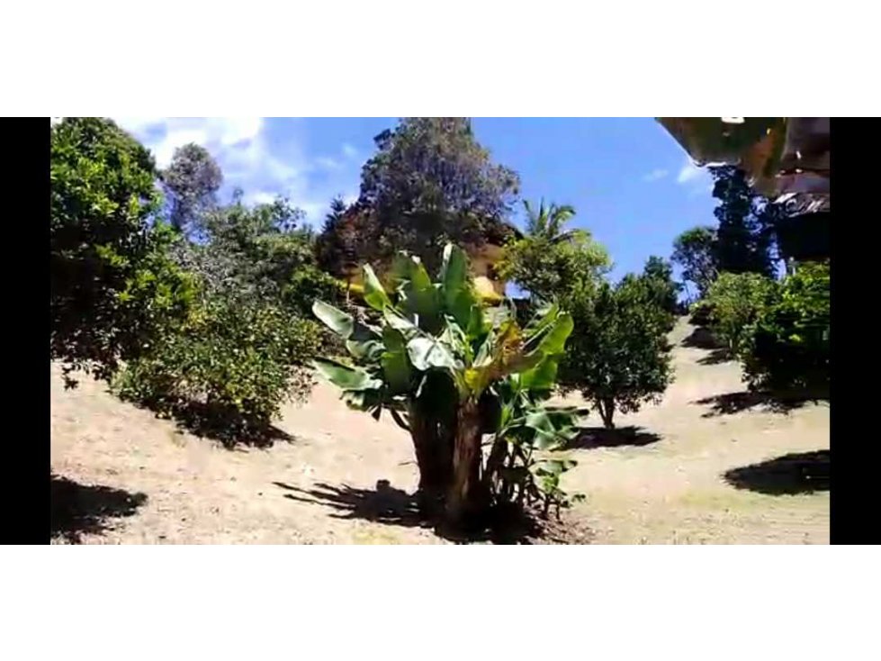 Vendo finca en Rionegro, Antioquia