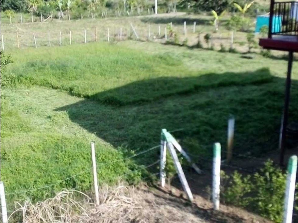 Vendo lote en el kilómetro 30 dagua valle del cauca