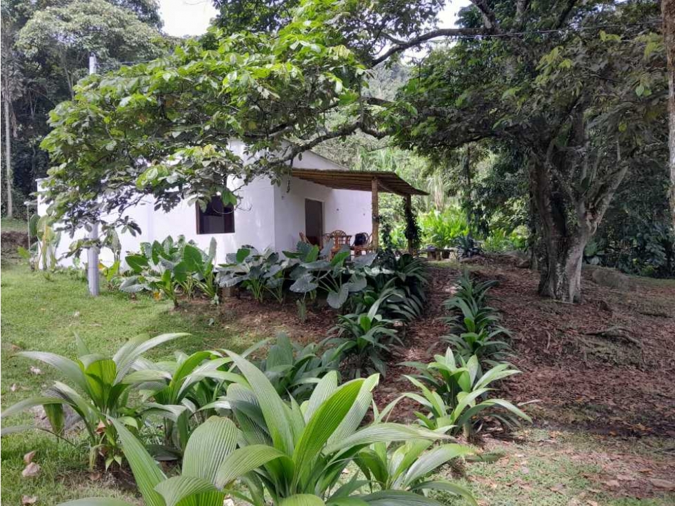 VENTA FINCA VENECIA, SUROESTE ANTIOQUEÑO