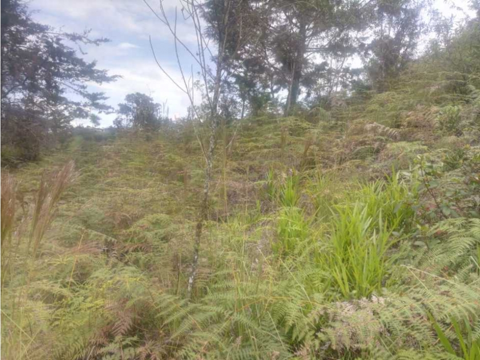 Venta de lote en San Vicente