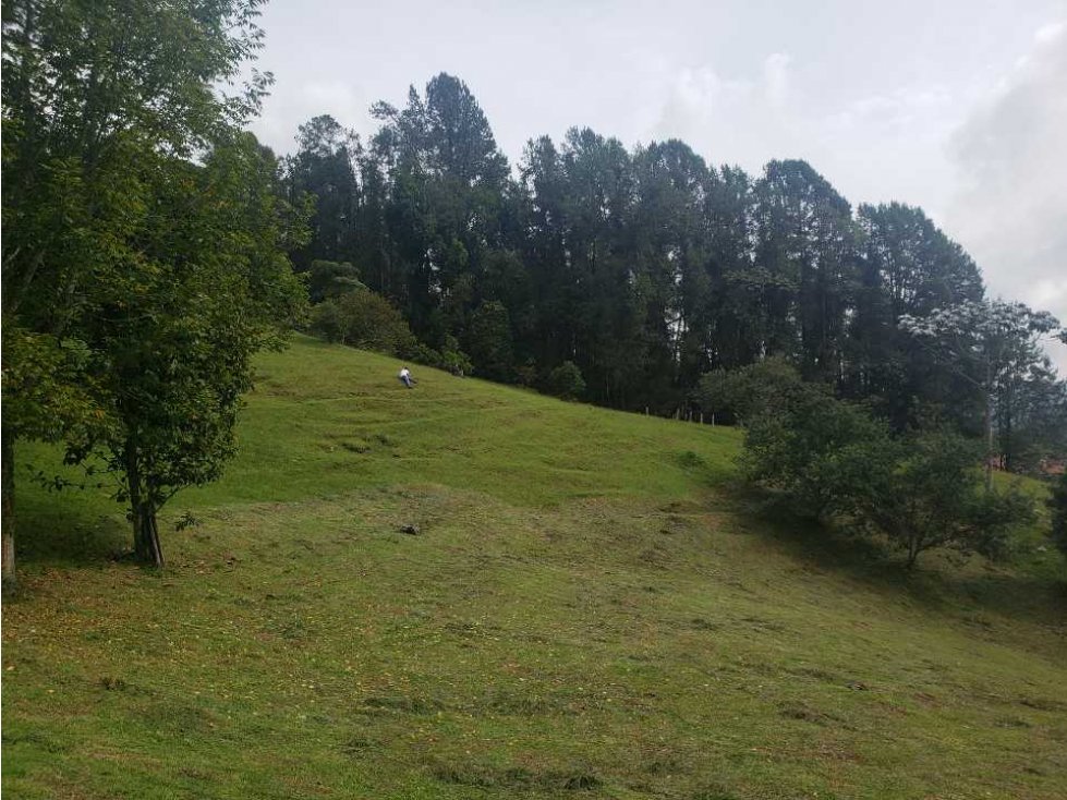 Venta de lotes frente a la represa la Fe en rionegro Antioquia Fizebad