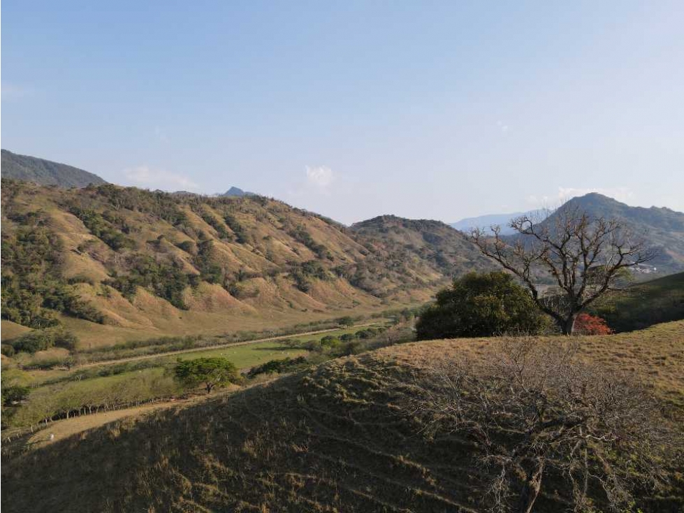 VENTA LOTE CONCORDIA , SUROESTE ANTIOQUEÑO