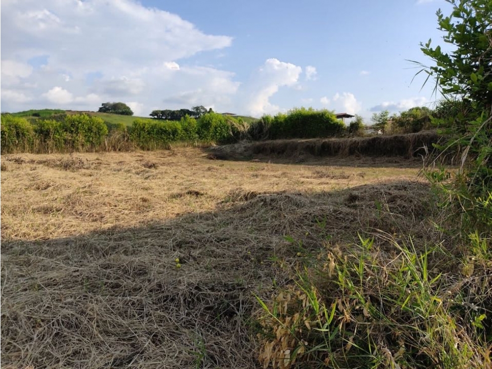 Venta Lote Combia Pereira