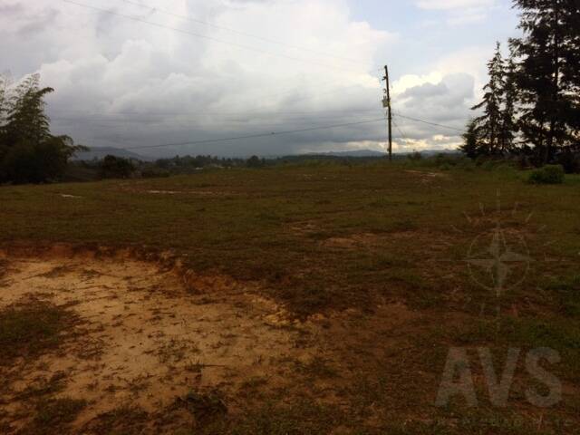 Lote independiente OL1087