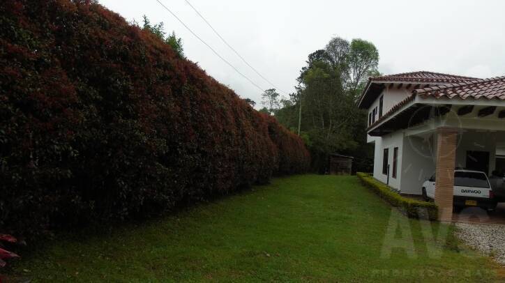Finca Independiente para venta en la ceja 1157