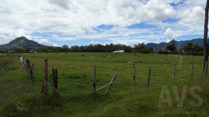 Lote independiente OL1207