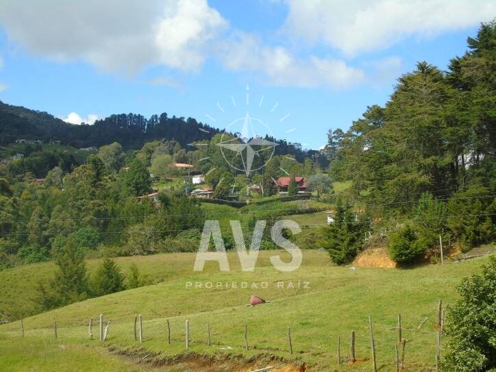 Lote independiente 1581