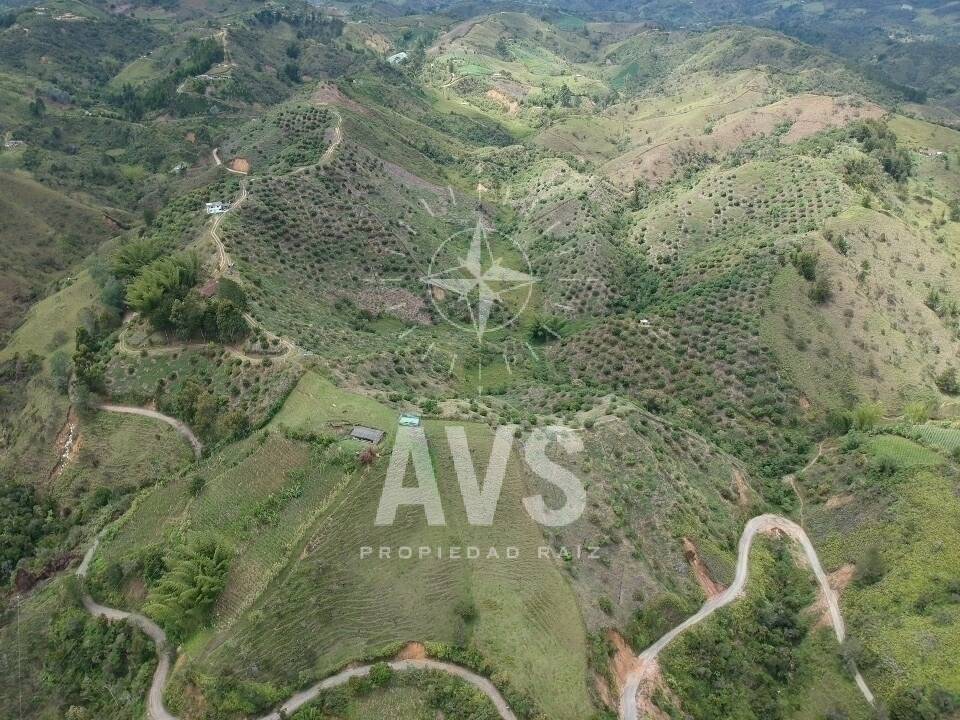 Cultivo para venta en San Vicente Ferrer  2802