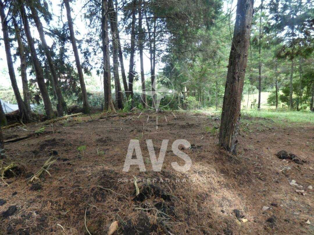 Lote para venta en Rionegro  2815