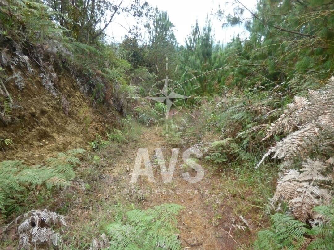 Lote para venta en el Retiro  2846