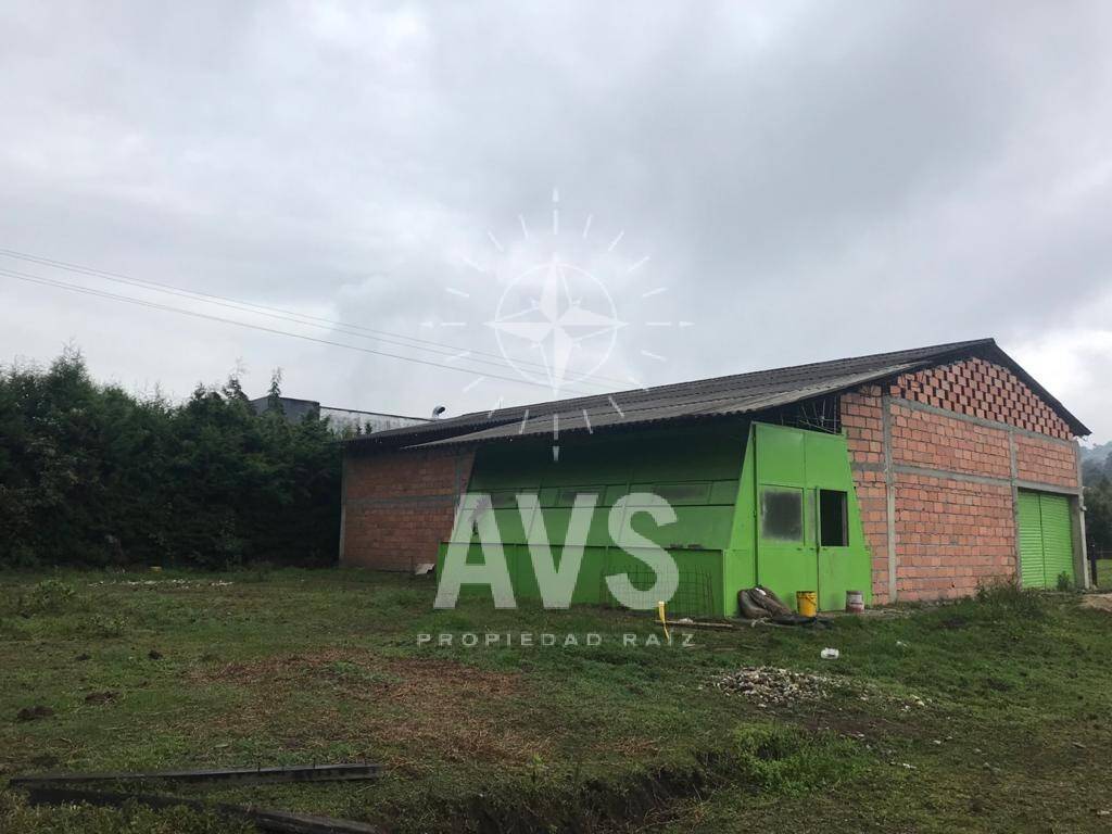 Bodega para renta en Rionegro  3095