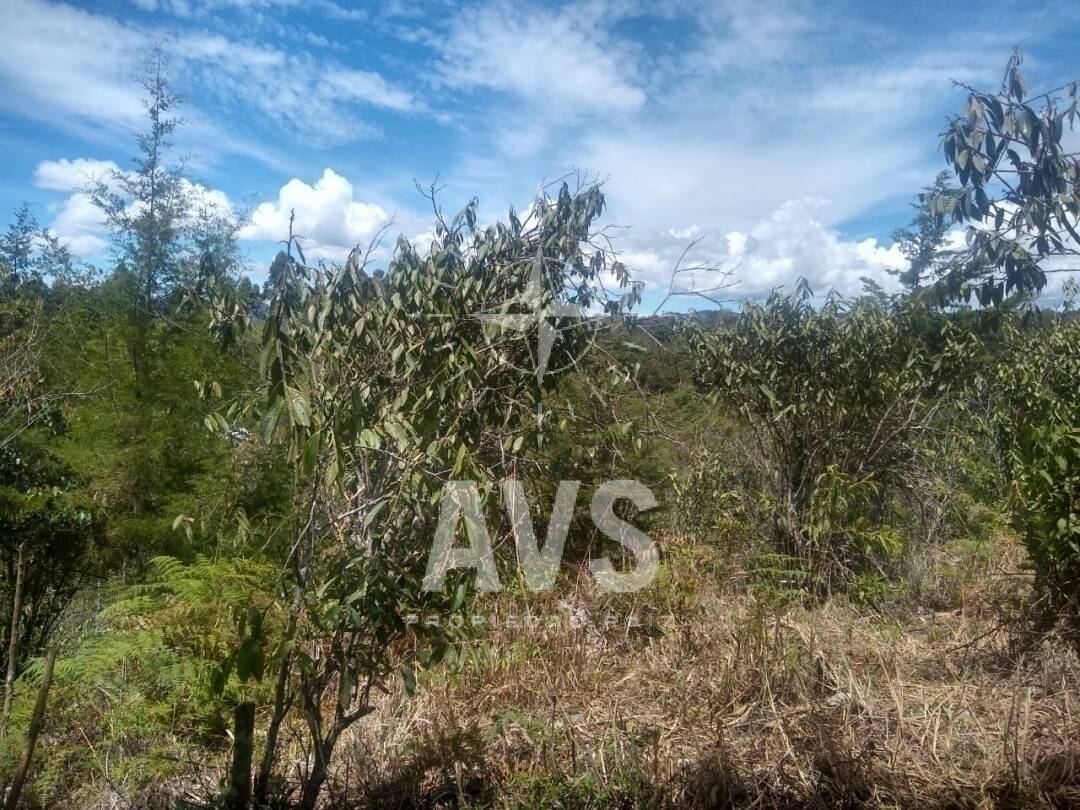 Lote comercial-industrial para venta en Rionegro 3179