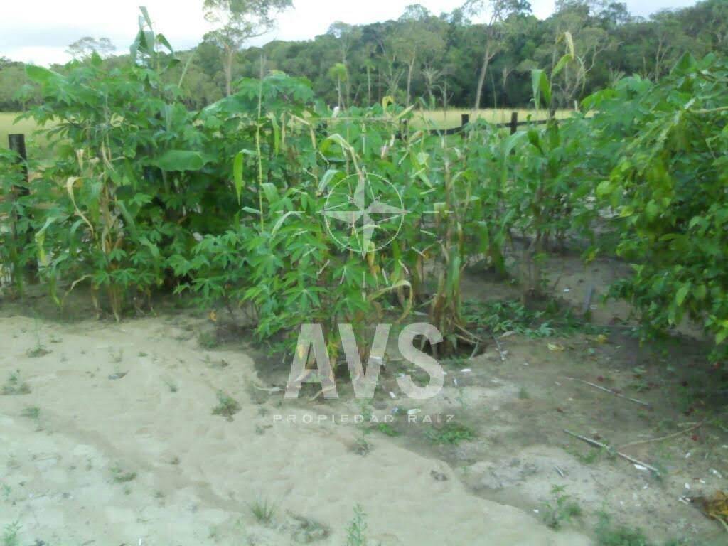 Finca para venta en los llanos  3347