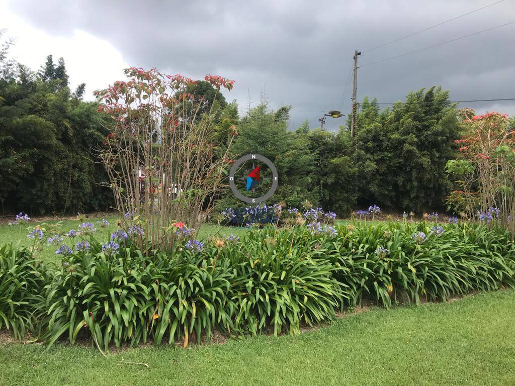 Lote comercial para renta en Rionegro  3648