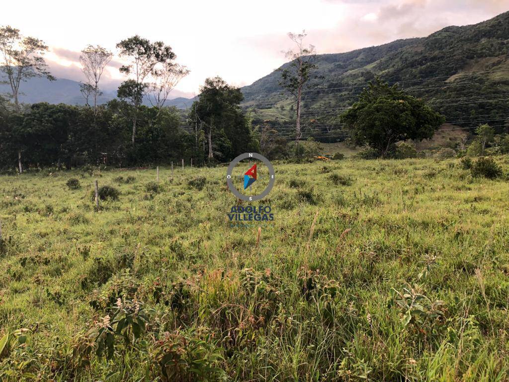 Lote independiente para venta en san carlos Antioquia  3799