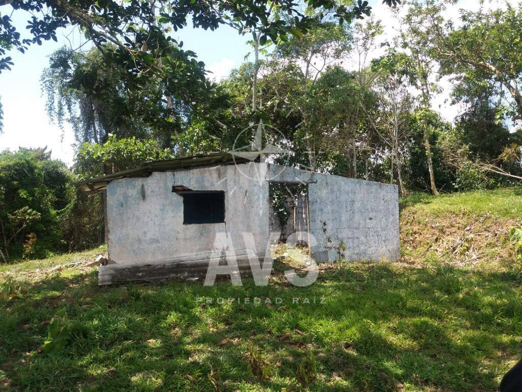 Finca para venta en san Carlos  4129