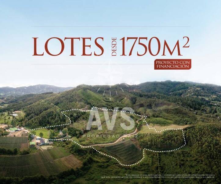 Proyecto Lotes 1629