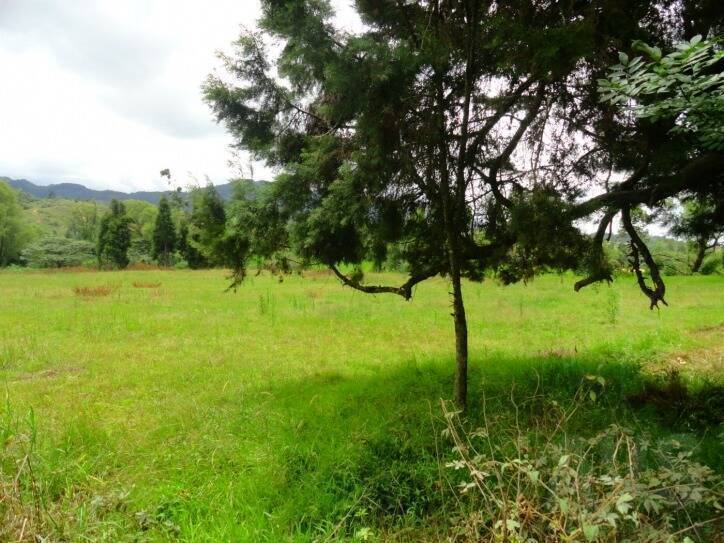 Lote industrial Independiente para venta en Guarne 472