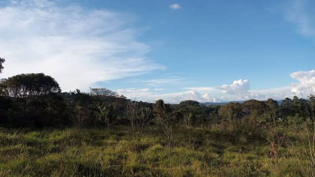 LOTES SIN RPH ANTES DE PEAJE VISTA PANORÁMICA *OPORTUNIDAD*