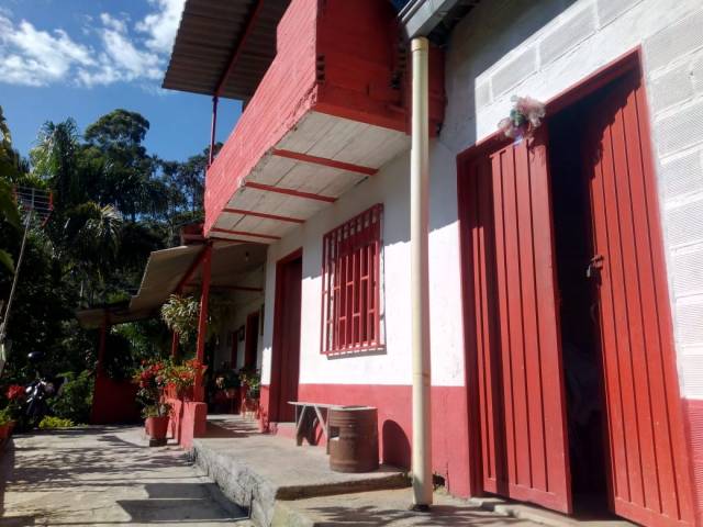 Finca de Café “Cañaguay”: Un Paraíso Verde.