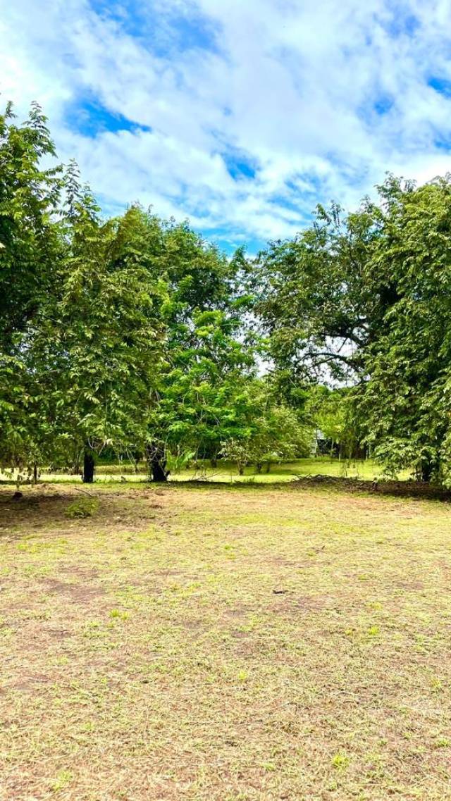 Venta De Lotes En Carmen De Apicala