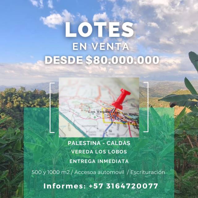 Venta de lotes campestres en Palestina Caldas