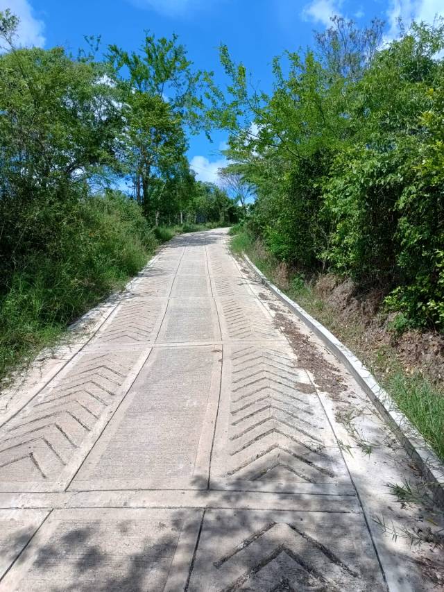 Vendo lote con cabaña en Guaduas Cundinamarca