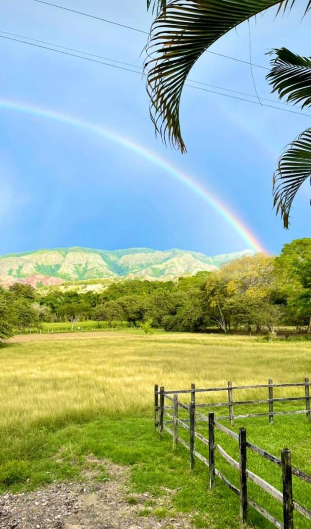 Ganga Hermosos Lotes en el Carmen de Apicalá Tolima