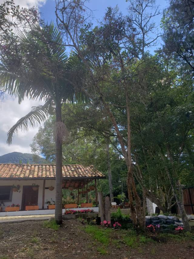 Hermosa Propiedad Campestre en el Carmen de Viboral
