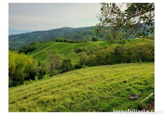 Vendo finca semiplana con cultivos